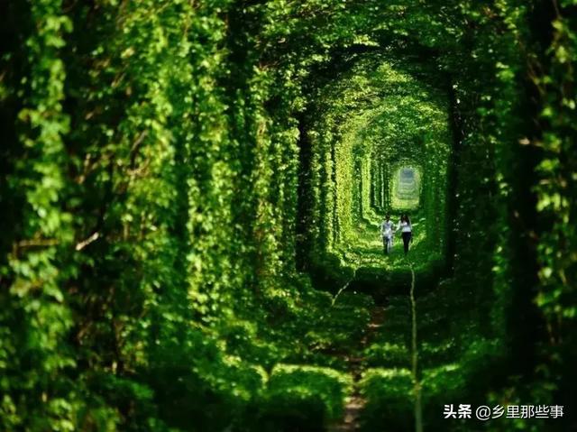 世界最神奇的22個地方，見過兩個算你牛！