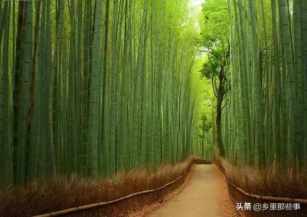 世界最神奇的22個地方，見過兩個算你牛！