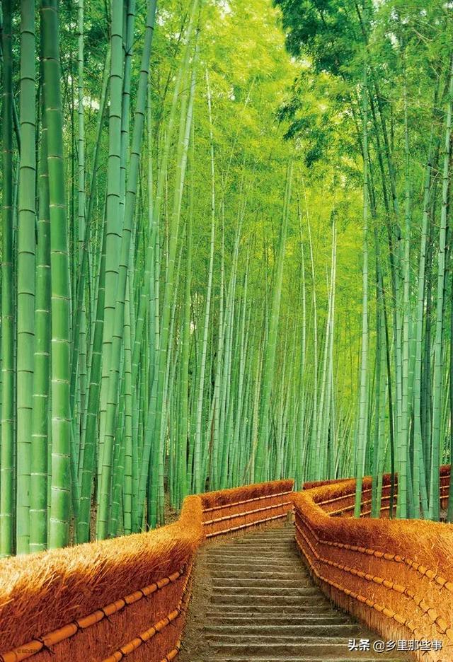 世界最神奇的22個地方，見過兩個算你牛！