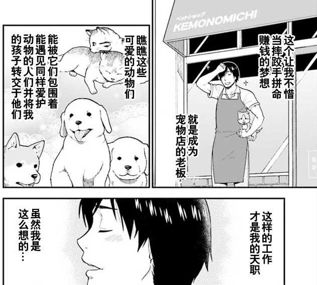 《為美好世界獻上祝福原作者》又一作品動畫化，一看就很搞笑