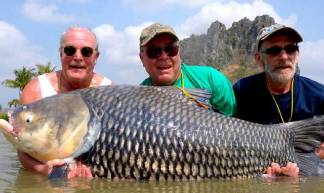 他們把摯友「骨灰」做成魚餌垂釣~竟發生超感人的事情證明奇蹟真的存在呀！ 