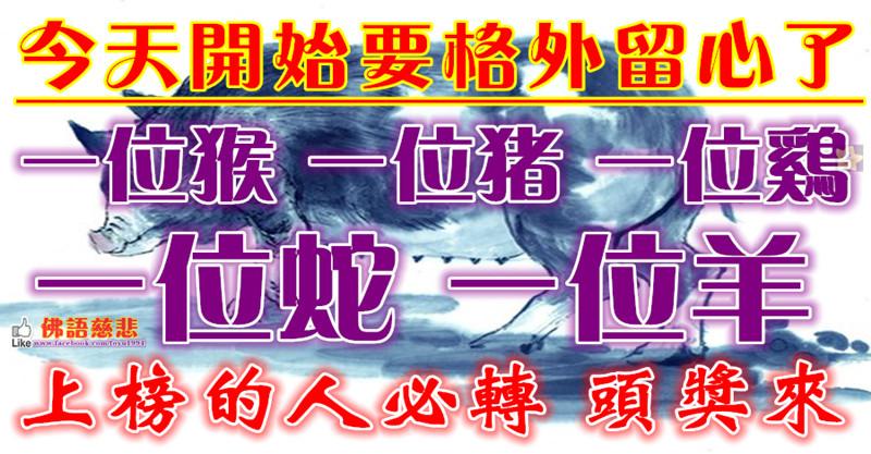 今天開始要格外留心了，一位猴，一位豬，一位雞，一位蛇，一位羊~必須轉啊~ 