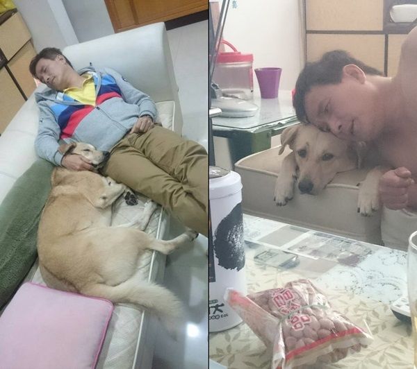 爸爸想買純種狗！女兒撿浪浪他「氣到炸」結果寵成兒子抱著睡：疼到一個不行！