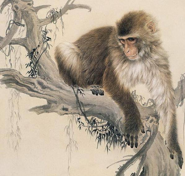 這7個生肖千萬不要惹，2019年他們實在太旺了