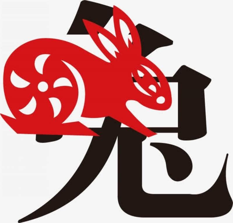 2019年農曆新年12生肖幸運顏色！大年初一就這樣穿，穿對顏色好運一整年