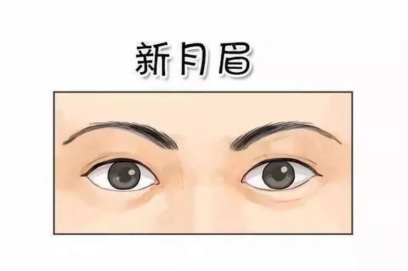 眉毛不要亂修，眉毛預示吉凶，你的眉毛長什麼樣，你的一生就是什麼樣