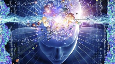 我們的身體原來藏著這麼多秘密，細思極恐