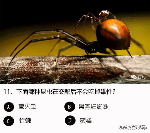 答對一半就算你是考試鬼才，就這24道題我想了一年