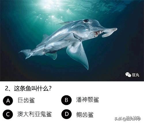 答對一半就算你是考試鬼才，就這24道題我想了一年