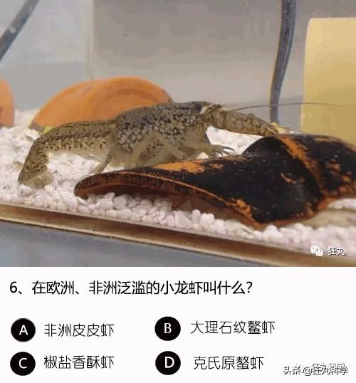 答對一半就算你是考試鬼才，就這24道題我想了一年