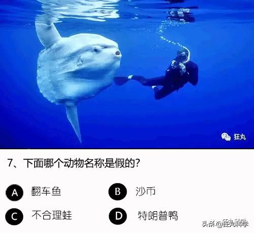 答對一半就算你是考試鬼才，就這24道題我想了一年