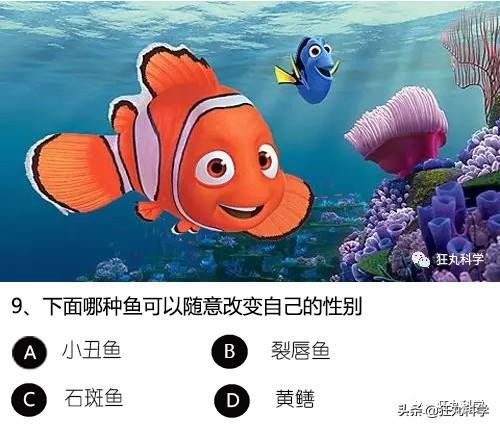 答對一半就算你是考試鬼才，就這24道題我想了一年