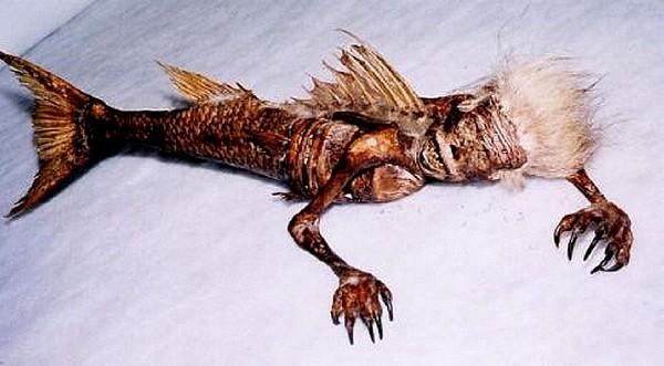 1991年科學家成功挖掘到世界上第一具完整的美人魚化石！美人魚已被證實？