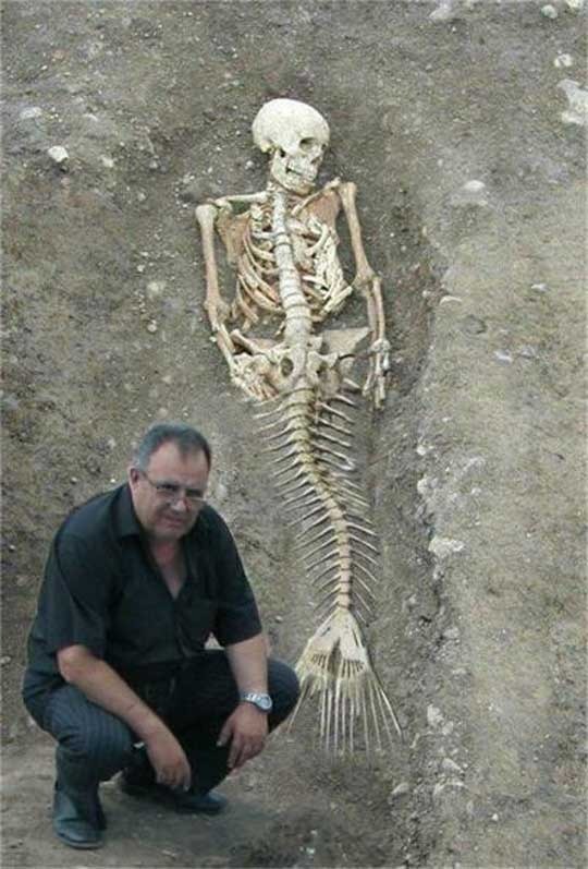 1991年科學家成功挖掘到世界上第一具完整的美人魚化石！美人魚已被證實？