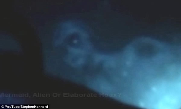 1991年科學家成功挖掘到世界上第一具完整的美人魚化石！美人魚已被證實？