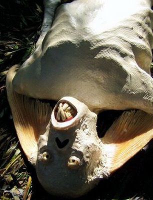 1991年科學家成功挖掘到世界上第一具完整的美人魚化石！美人魚已被證實？