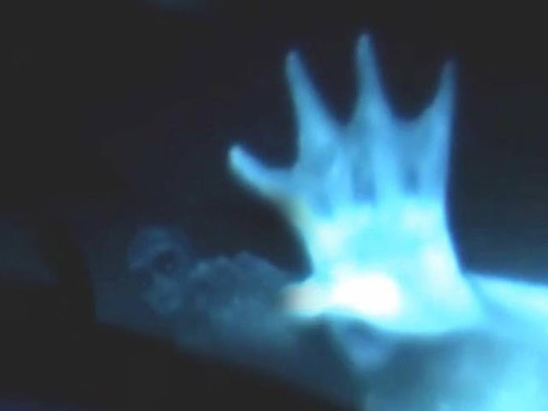 1991年科學家成功挖掘到世界上第一具完整的美人魚化石！美人魚已被證實？
