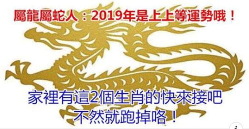 屬龍屬蛇人：2019年是上上等運勢哦！家裡有這2個生肖的快來接吧，不然就跑掉咯！