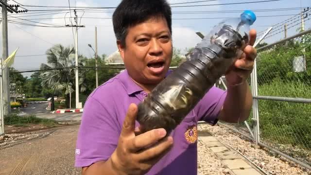男子捉了15隻螃蟹，塞到瓶子裡，15天後打開樂壞了！