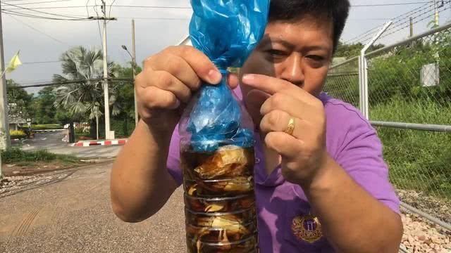 男子捉了15隻螃蟹，塞到瓶子裡，15天後打開樂壞了！