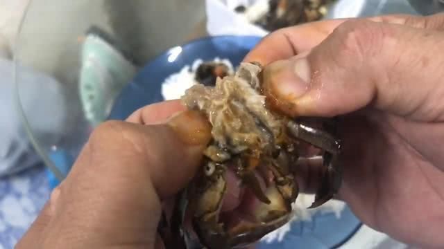 男子捉了15隻螃蟹，塞到瓶子裡，15天後打開樂壞了！