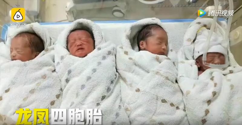 70萬分之一的幸運！媽媽產下「罕見龍鳳四胞胎」 一次湊到「兩個好」爸暖喊： 生活再難也不願放棄 ！