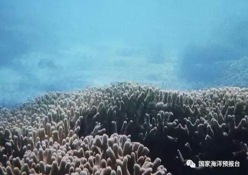 中國三沙發現神秘海洋藍洞，深度超300米，傳說為「南海之眼」