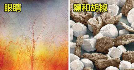 19張日常物品在「顯微鏡底下」的奇妙模樣　眉毛放大後太噁！