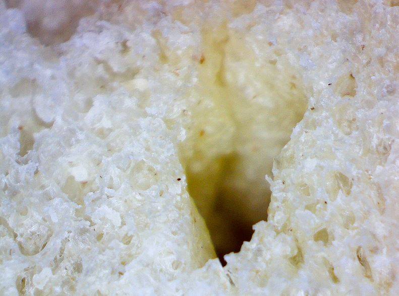 19張日常物品在「顯微鏡底下」的奇妙模樣　眉毛放大後太噁！