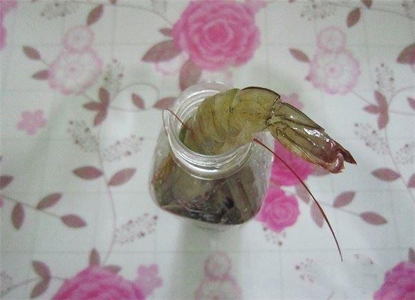 蝦買多了怎辦？教你一招，靠這樣保存放再久也不怕蝦頭變黑，別再傻傻直接放冰箱了！ 