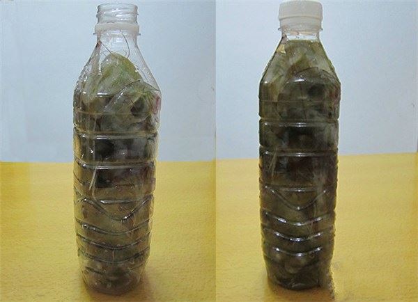 蝦買多了怎辦？教你一招，靠這樣保存放再久也不怕蝦頭變黑，別再傻傻直接放冰箱了！ 