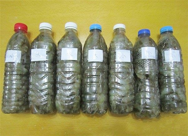 蝦買多了怎辦？教你一招，靠這樣保存放再久也不怕蝦頭變黑，別再傻傻直接放冰箱了！ 