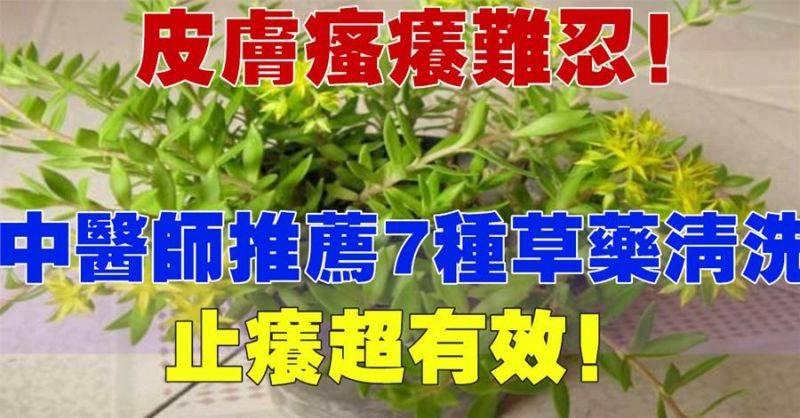 醫師推薦 7 種草藥清洗，止癢超有效哦！ ！