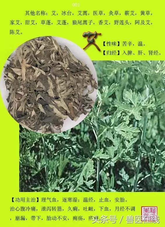 300種中草藥彩色圖譜賞析（收藏慢慢看）