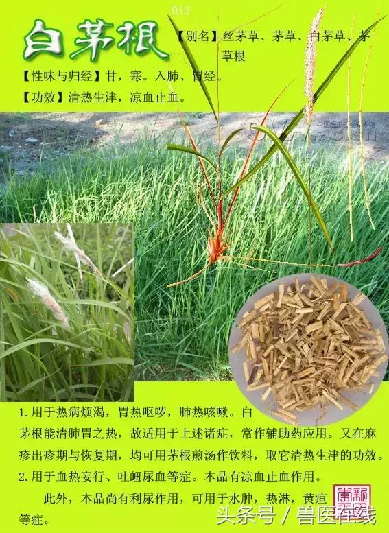 300種中草藥彩色圖譜賞析（收藏慢慢看）