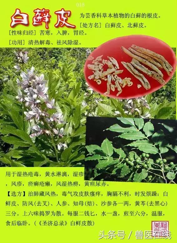 300種中草藥彩色圖譜賞析（收藏慢慢看）