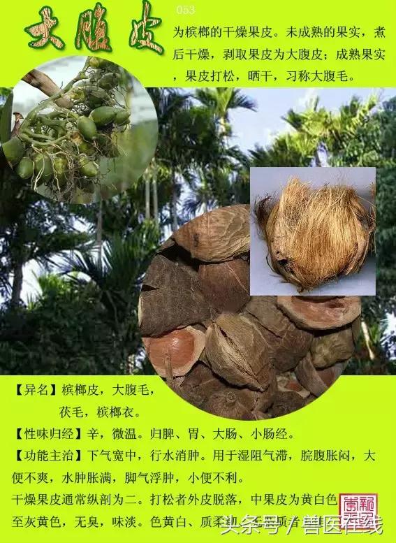 300種中草藥彩色圖譜賞析（收藏慢慢看）