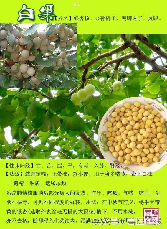 300種中草藥彩色圖譜賞析（收藏慢慢看）