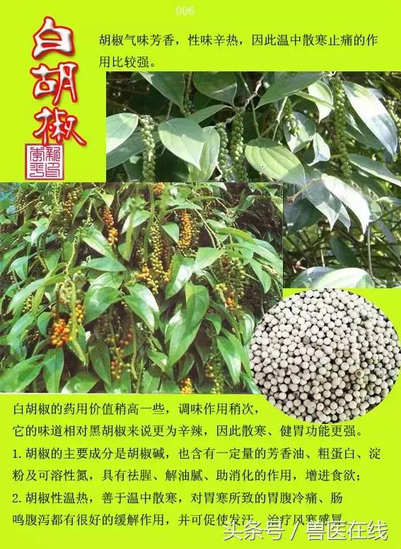 300種中草藥彩色圖譜賞析（收藏慢慢看）