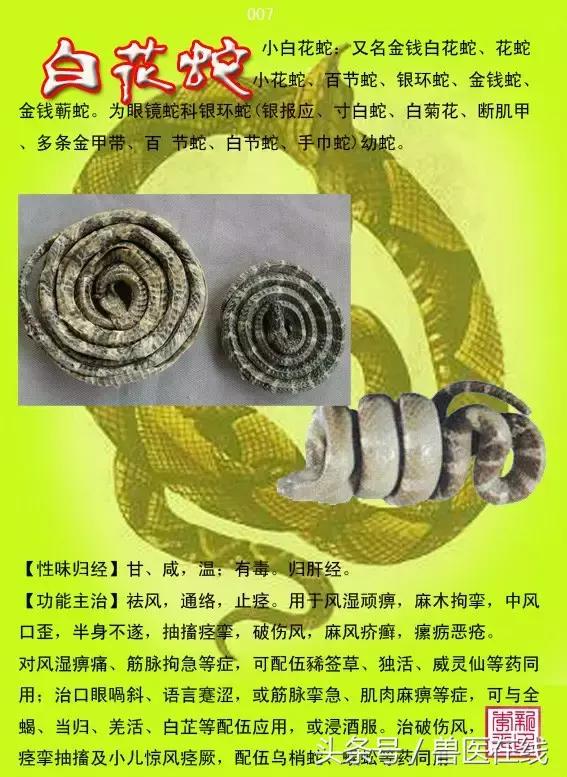 300種中草藥彩色圖譜賞析（收藏慢慢看）