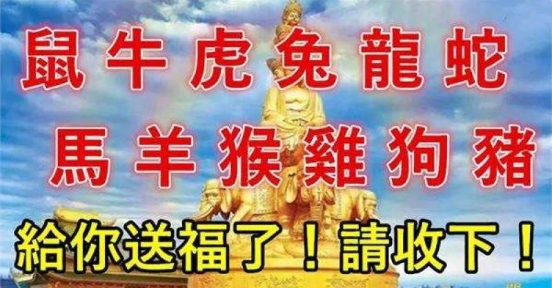 珍貴畫面12生肖春節前為您送福，見其者今年一定大爆發