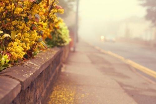 人生，就是「當路不通」時，「選擇繞行」，懂得拐彎，才是人生的「大智能」！