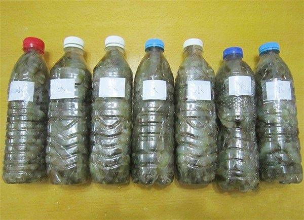 蝦買多了？教你一招，這樣保存放再久也不怕「蝦頭變黑」保證新鮮哦！