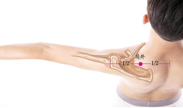每天按揉這4大膽經名穴，膽囊炎、近視、頸椎病統統都好了！