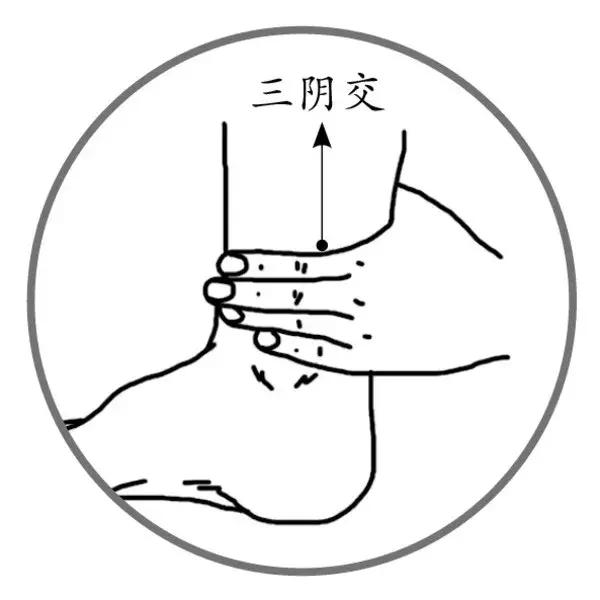 女人有個「養顏穴」，調經養血就找它！可你知道在哪嗎？