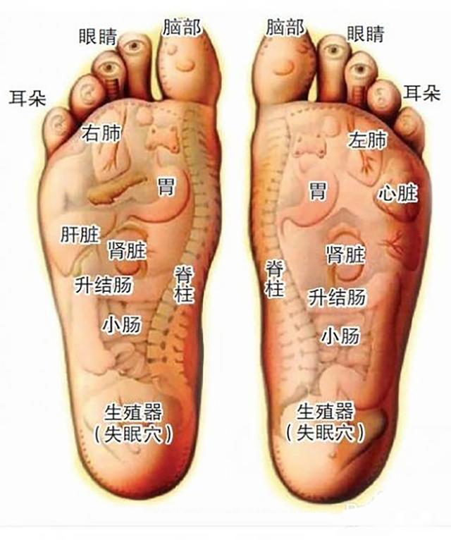 養生先養腳，養腳永不老！揉一揉，泡一泡，防病又健身！