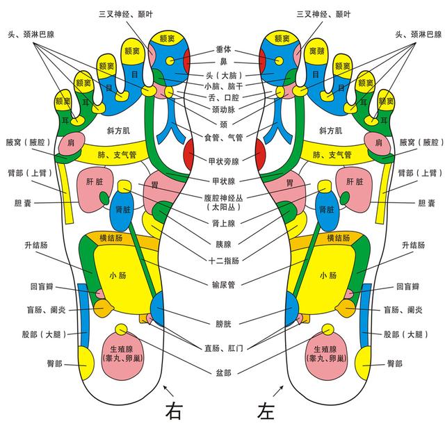 養生先養腳，養腳永不老！揉一揉，泡一泡，防病又健身！