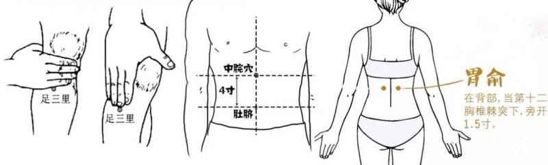 不但美味，它還是便秘調理小能手，經常吃，潤腸通便，便秘不來擾