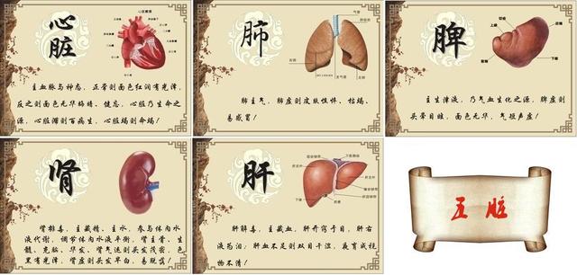 經常愛生氣的人，你的肝不好吧？聽中醫專家分析五臟和情緒的關係