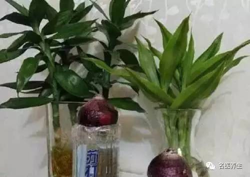 她把小蘇打灑在馬桶上，不可思議的事情發生了（收藏）